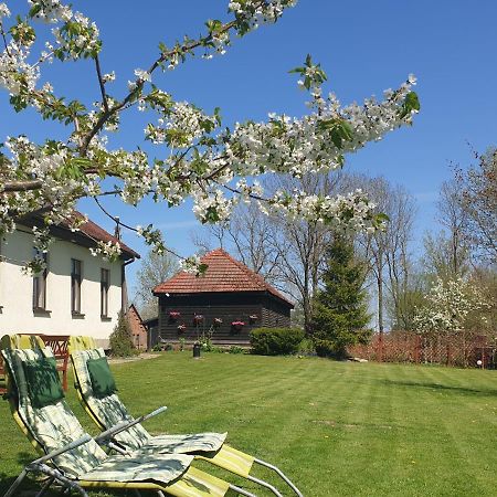 Bed and breakfast Folwark Goscino-Dwor Extérieur photo