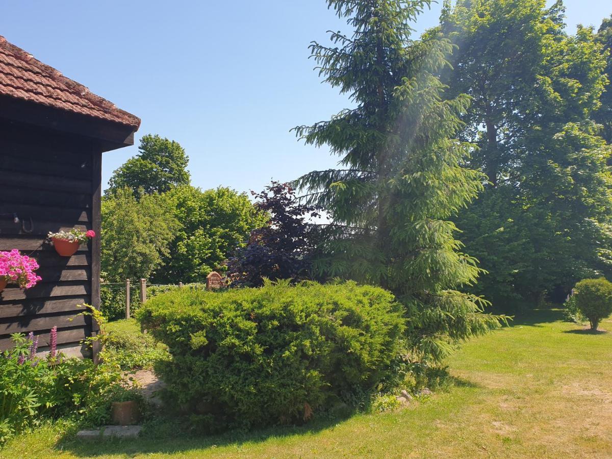 Bed and breakfast Folwark Goscino-Dwor Extérieur photo